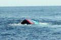 Tàu cá bị đâm chìm, 5 ngư dân kêu cứu ở Hoàng Sa