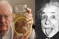 Top sự thật giật mình về thiên tài vật lý Albert Einstein