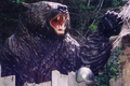 Cuộc tấn công đẫm máu nhất Nhật Bản của gấu quỷ Kesagake