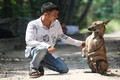 Chủ trại chó Phú Quốc kể chuyện kiếm tiền tỷ từ nuôi chó 