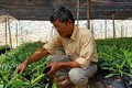 Làm giàu khác người: Chuyện về “ông trùm” cây “tỷ đô” ở xứ Lạng
