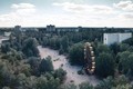 Vì sao thực vật ở Chernobyl phát triển thần kỳ sau thảm họa?