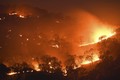 Video: Vì sao cháy rừng đang diễn ra trên khắp thế giới?