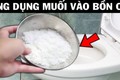 Đổ muối vào bồn cầu: 30 phút sau điều kỳ diệu xảy ra