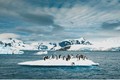 Sông băng Nam Cực tan nhanh nhất trong 5.500 năm, lời cảnh báo thảm họa 