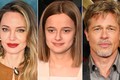 8 năm ròng rã tranh đấu với Angelina Jolie, Brad Pitt nhận kết đắng