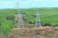 Liên danh Kevin - Hanaka trúng gói thầu điện Phước An hơn 88 tỷ đồng