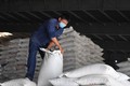 Giá gạo Việt xuất khẩu đắt nhất thế giới, vừa mừng vừa lo