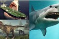 Bí ẩn về quái thú cổ đại Megalodon thống trị đại dương