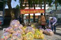 Giải cứu vải thiều Bắc Giang với giá 20.000 đồng/kg ở Hà Nội