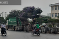 Công ty môi trường gây ô nhiễm môi trường giữa Thủ đô Hà Nội