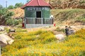 Vườn hoa Huỳnh Phổ: “Tâm điểm” của giới trẻ Bình Định