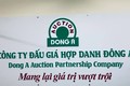 Sai phạm của Công ty đấu giá hợp danh Đông Á tại Hà Nội