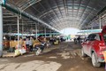 Hưng Yên: Tỉnh yêu cầu dừng hoạt động, chợ nông sản Sông Hồng “bất tuân”