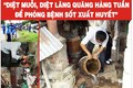 Việt Nam hưởng ứng ngày ASEAN phòng chống dịch sốt xuất huyết