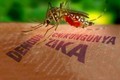 Kết quả xét nghiệm 83 người nghi nhiễm virus Zika ở VN