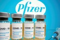 Việt Nam sẽ có 31 triệu liều vaccine Pfizer trong năm nay