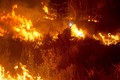 Hình ảnh cháy rừng tàn khốc ở Mỹ
