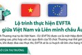 Lộ trình thực hiện Hiệp định Thương mại tự do Việt Nam-EU