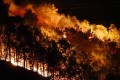 Cháy rừng Hà Tĩnh bùng phát trong đêm, hàng trăm người ứng cứu