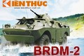 Infographic: Xe trinh sát BRDM-2 của Việt Nam mạnh cỡ nào?