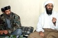 Bí mật bộ sưu tập băng cát xét của Osama Bin Laden