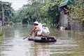 Ngập lụt ở Chương Mỹ: Dừng tất cả cuộc họp để ứng phó mưa lũ
