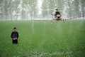 Video: Hành động bất ngờ của anh nông dân khi thấy flycam trên cánh đồng