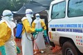 3 nhà báo bị giết vì tuyên truyền chống dịch Ebola 