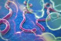 Phát hiện bệnh nhân nhiễm Ebola đầu tiên tại Mỹ 