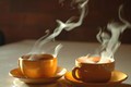 Cách dùng trà ngừa ung thư nội mạc tử cung hoàn hảo