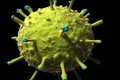 Virus chết người đầy màu sắc dưới kính hiển vi