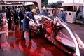 Xót xa cảnh cá voi bị tàn sát đẫm máu