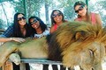 Sở thú tiêm chất kích thích sư tử chụp ảnh ngoan hiền