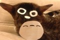 Chết cười xem lưng mèo hóa trang Totoro