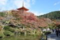 Ngắm ngôi chùa nổi tiếng nhất tại cố đô Kyoto