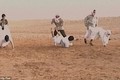 Bên trong trại huấn luyện đánh bom tự sát của al-Qaeda 