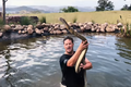 "Sốc" cảnh bơi cùng hổ mang chúa dài 4,8m, lớn nhất châu Phi