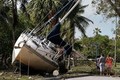 Bão Irma gây thiệt hại nặng nề cho Cuba và Mỹ
