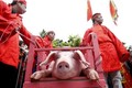 Tranh luận về tục chém lợn ở VN lên báo nước ngoài
