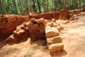 Phát hiện tháp Chăm 1.000 năm nằm “bí ẩn” dưới rừng keo