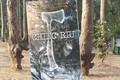 'Chiếc rìu': Câu chuyện sinh tồn đơn độc đầy ám ảnh