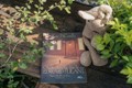 “Chuyến phiêu lưu diệu kỳ của Edward Tulane”: Tình yêu học lại từ đầu