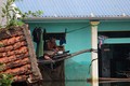 Ngập lụt ở Chương Mỹ: Người lên nóc, nhường nhà cho lợn gà