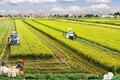 Tập trung và tích tụ đất sản xuất nông nghiệp trong đổi mới mô hình tăng trưởng