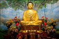 Phật dạy: 5 cách tích phúc đức, cải tạo số mệnh 