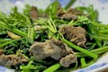 Tống Mỹ Linh bị K vẫn thọ tới 106 tuổi nhờ ăn một loại rau rẻ bèo