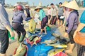 Trúng mẻ cá đặc sản, ngư dân Hà Tĩnh thu lợi hơn 300 triệu 