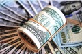 Tỷ giá USD hôm nay 8/5/2025: Lao dốc?
