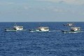 Toàn bộ tàu cá TQ bất ngờ di chuyển về đảo Hải Nam